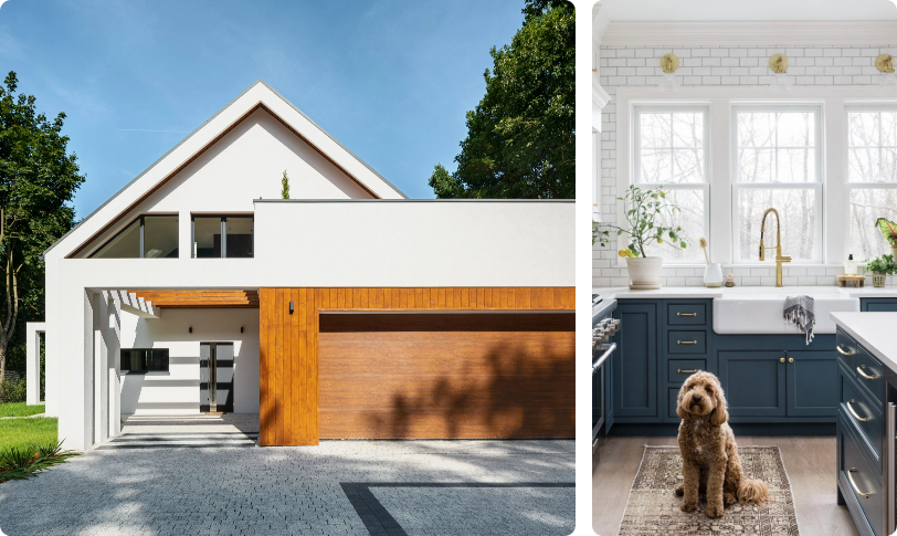 front house and Dog in kitchen